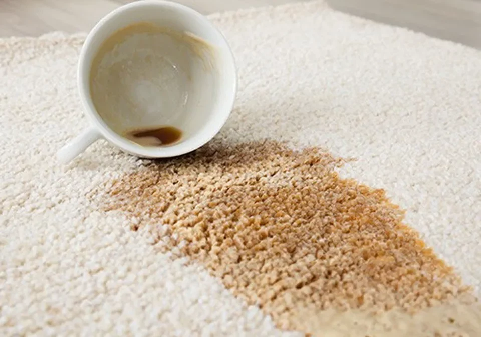 Area rug care | LeClaire Flooring